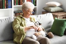 Old woman knitting with cat