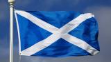 Scottish flag waving in the breeze on a flagpole.