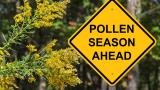 A sign saying 'Pollen season ahead' surrounded by flowers.