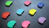 Different coloured cartoon brains laid out on a black background.