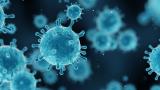 Microscopic flu virus