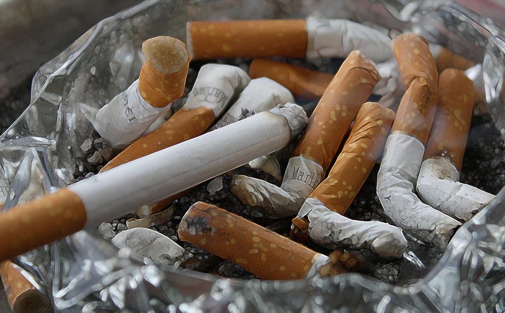 A bunch of cigarettes in an ashtray. They all have a burnt butt.