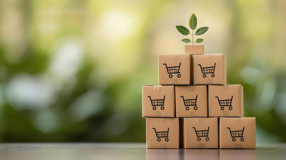 Sustainable procurement